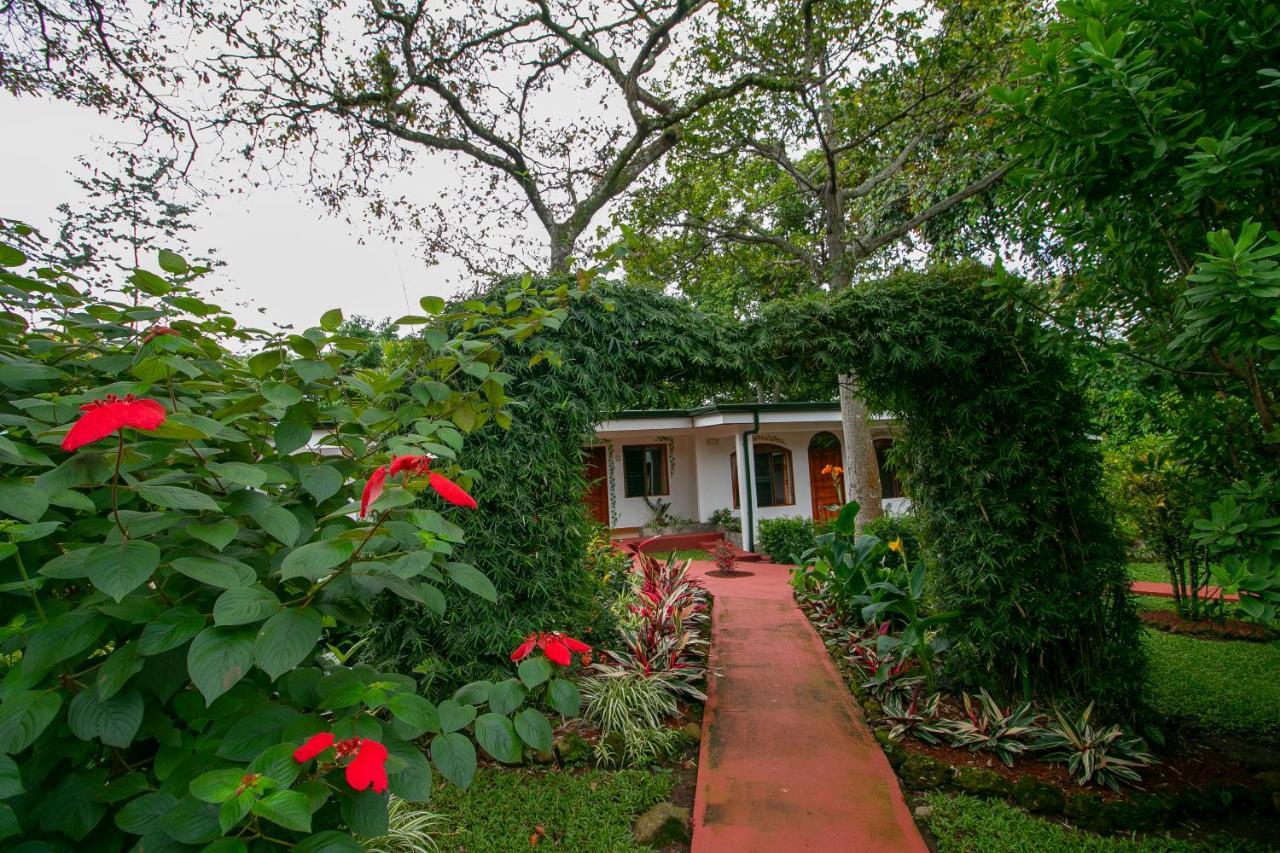 Hotel La Rosa De America Alajuela Exterior foto